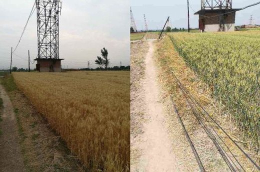 歪斜電桿、垂落線纜處置前后